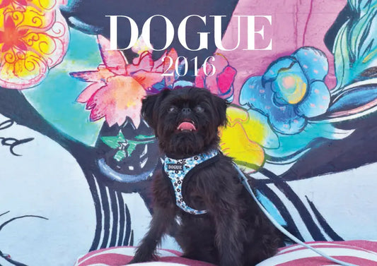 DOGUE's 2016 calendar: behind the scenes