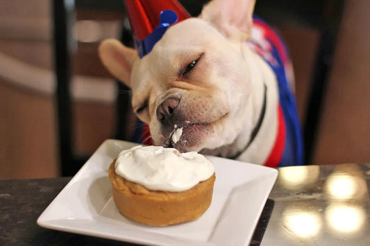 DIY Blueberry cupcakes for dogs