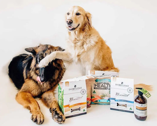 Why we LOVE Ivory Coat dog food! Transformation Stories