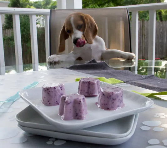 Frozen Dog Treats