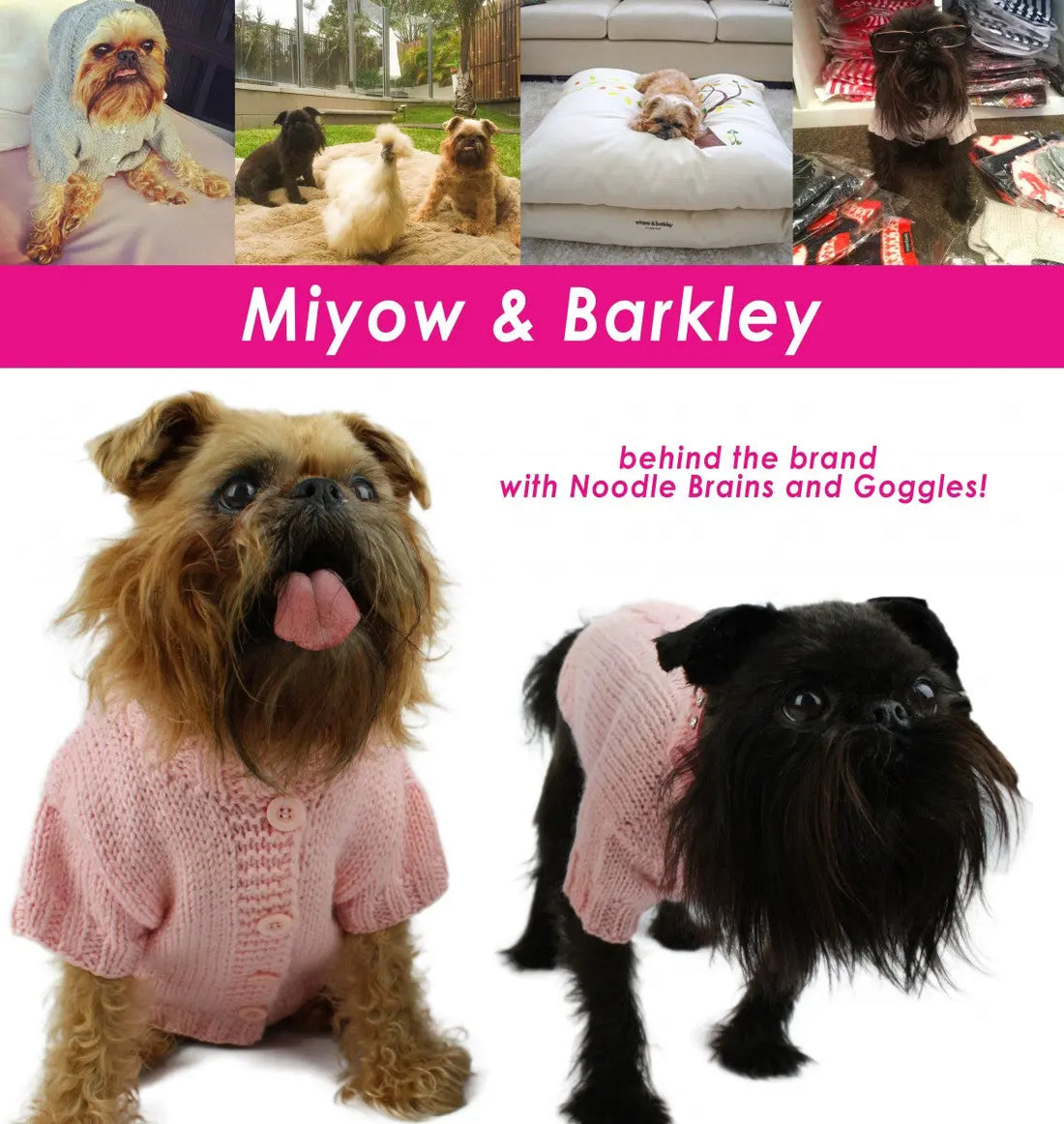 Miyow & Barkley Behind The Brand