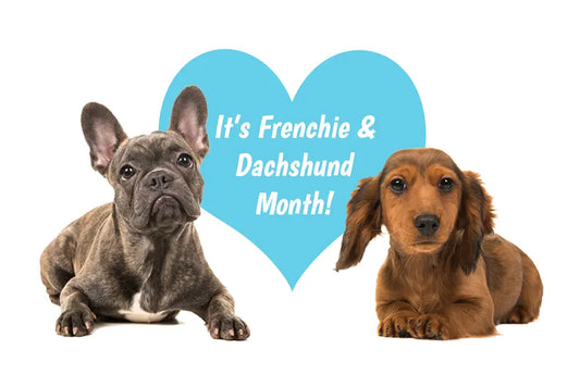 Breeds Of The Month | June