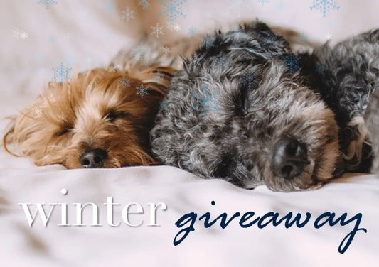 Winter Wonderland Competition