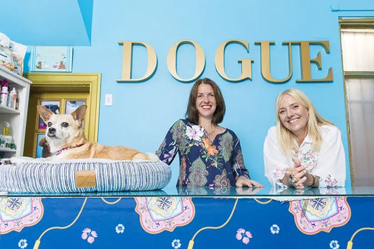 DOGUE CEO Talks With Inside Small Business