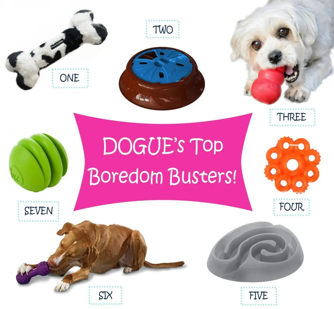 Dog Enrichment Ideas: 7 Boredom Busters for Dogs