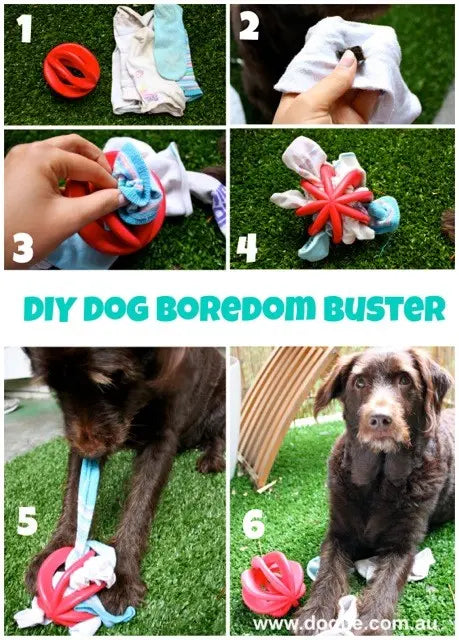 Make Your Own Interactive Dog Toy