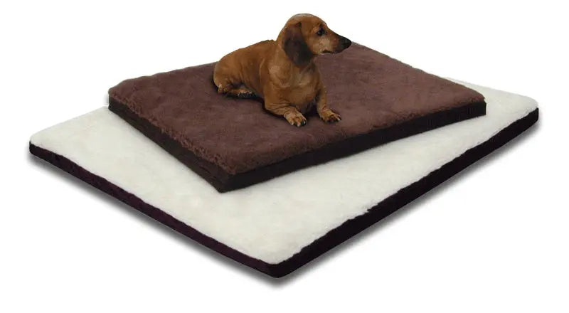 Dog Beds For Dogs With Arthritis