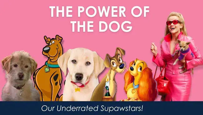 The Power of the Dog  Our Underrated Supawstars