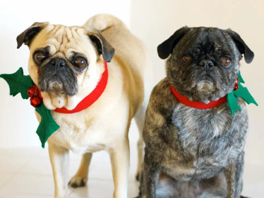 DIY Christmas dog collars