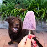 Easy to make homemade pupsicles