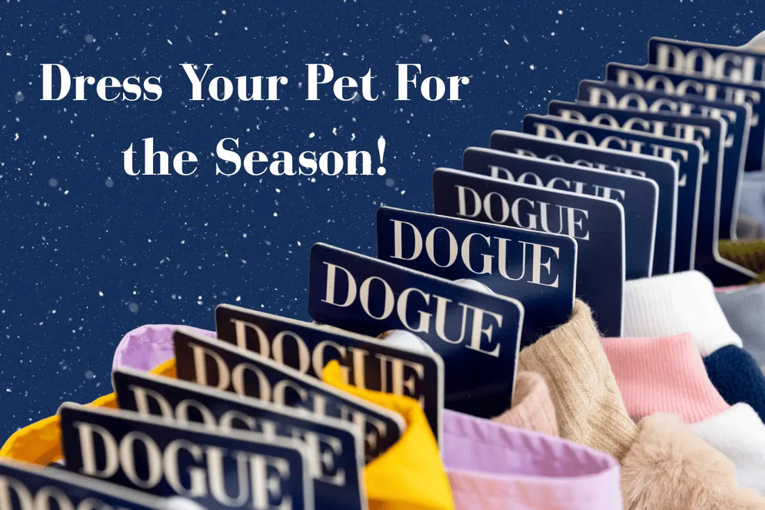 Dress Your Pet for the Winter Season!