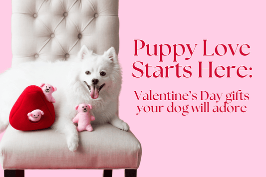 Puppy Love Starts Here: Valentine’s Day Gifts Your Dog Will Adore