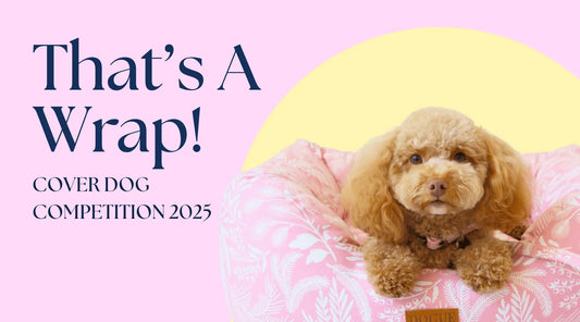 That-s-a-Wrap-Cover-Dog-2025-Goes-Out-with-a-Bark