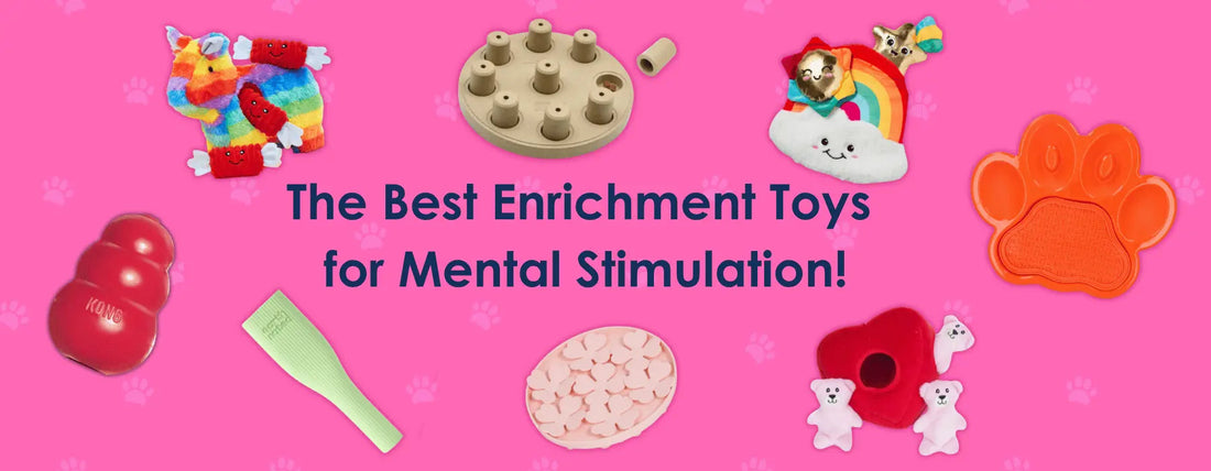 The Best Toys for Mental Stimulation!