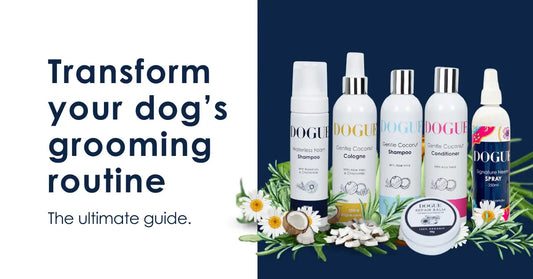 Transform-your-dog-s-grooming-routine