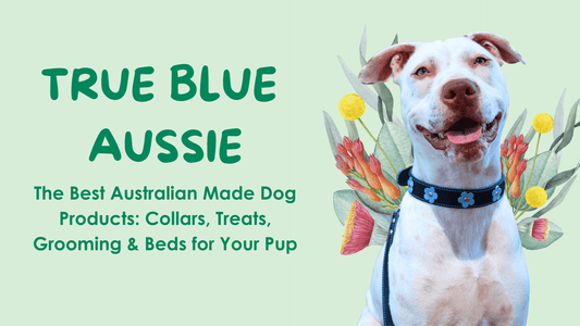 The Best Australian Made Dog Products: Collars, Treats, Grooming & Beds for Your Pup