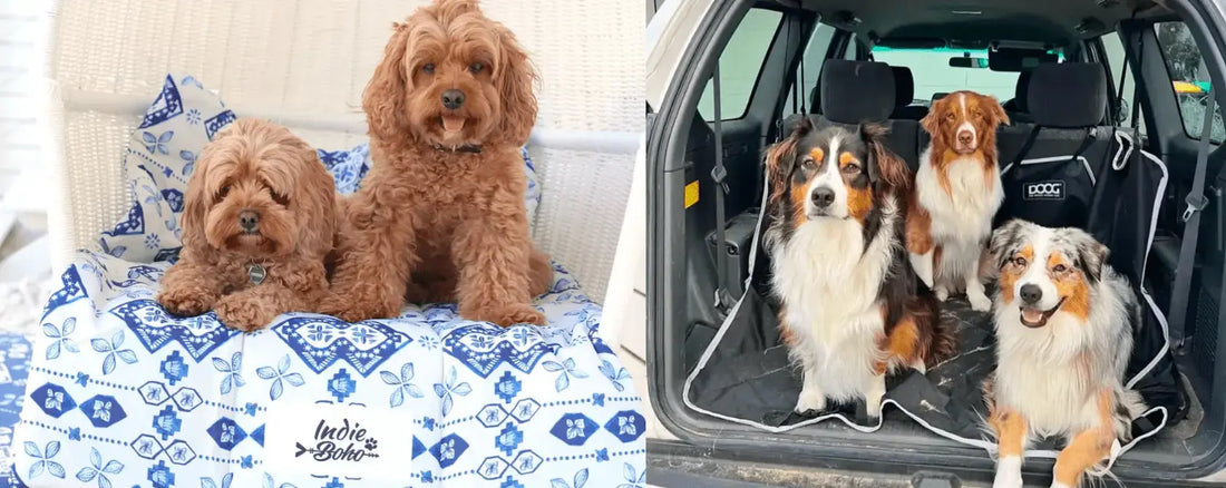 Your Guide to Travel Accessories