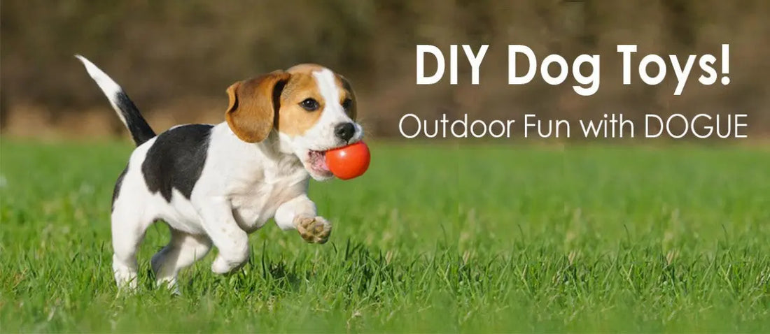 DIY Outdoor Dog Toys