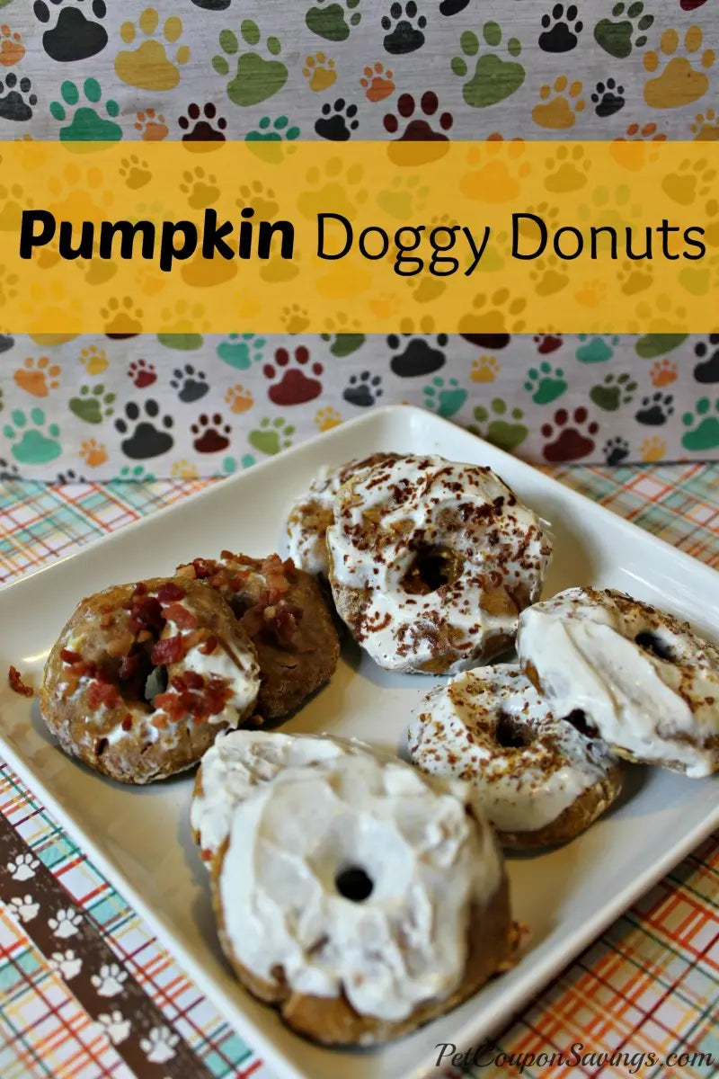 DIY Pumpkin Doggy Donuts