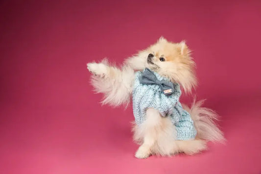 Lead The Way | Fashion Journal Magazine Shoot