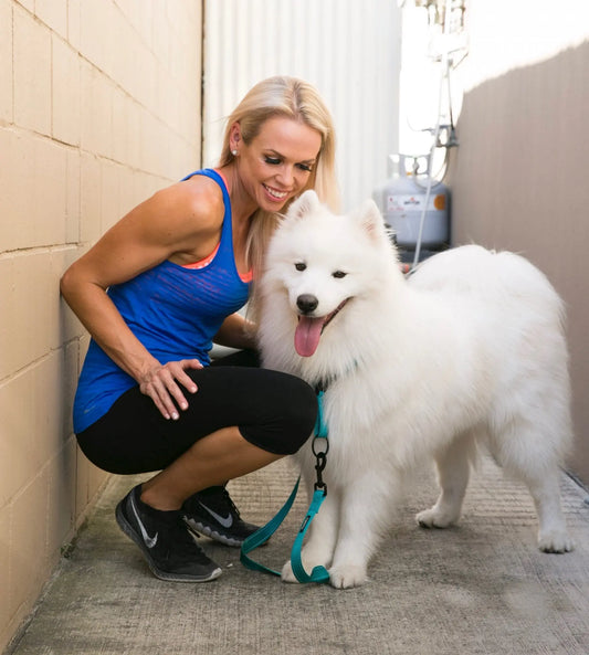 Doggy Dangers at Christmas | Dr Alex Hynes