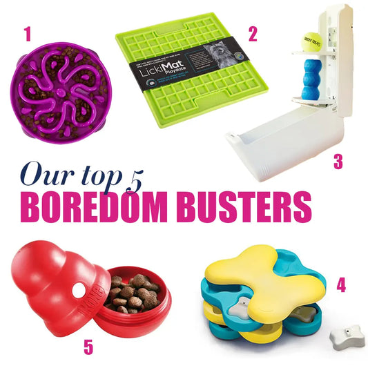 Our Top 5 Boredom Busters