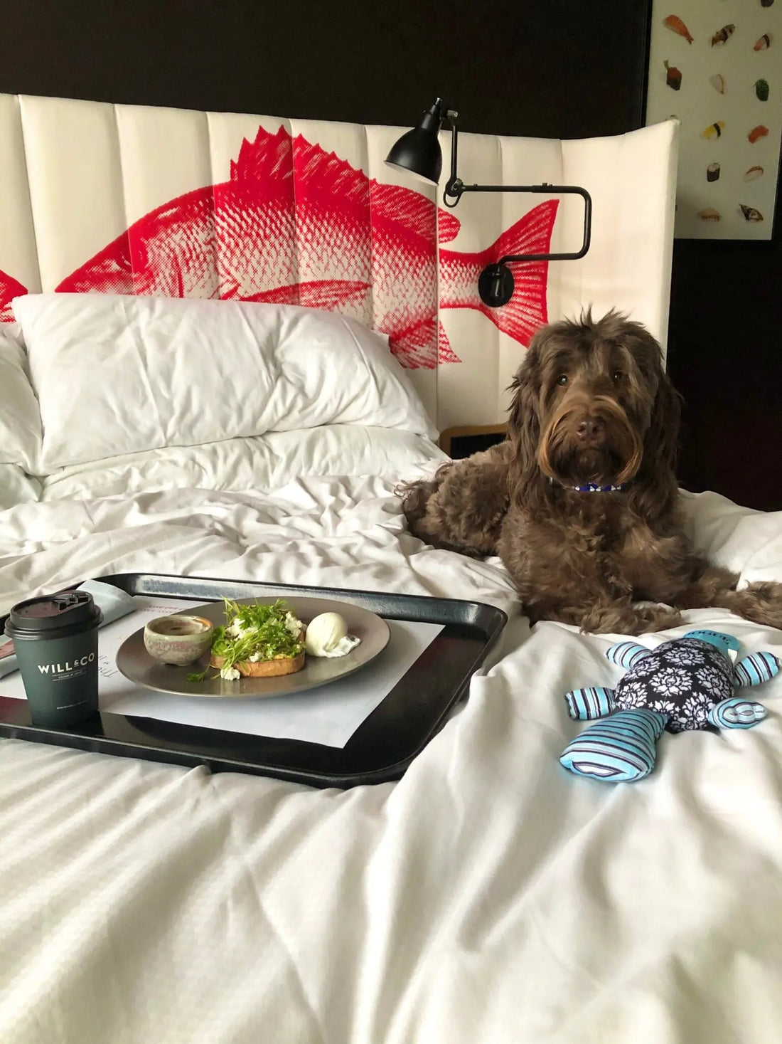The PAWfect Staycation at Ovolo Hotels