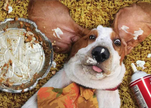 10 things to be thankful for this Thanksgiving