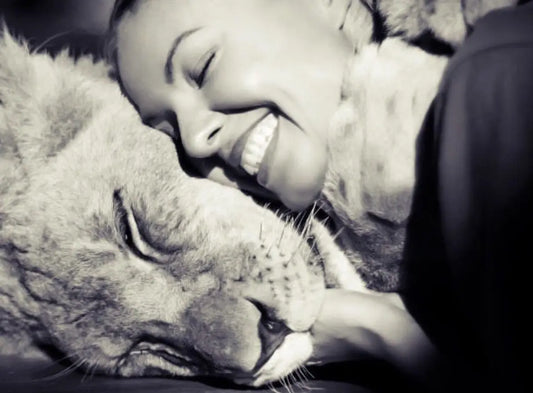 Interview with Traci Griffiths from Zambi Wildlife Retreat