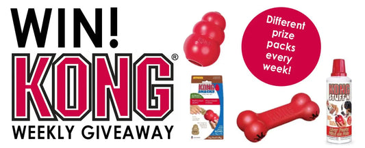 Win with DOGUE: weekly KONG giveaways