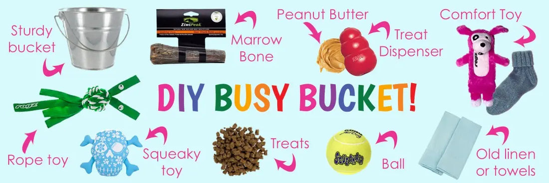 DIY Boredom Buster | Busy Bucket For Dogs