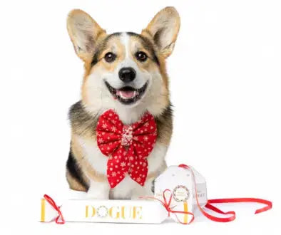 DOGUE Gift Guide 2022