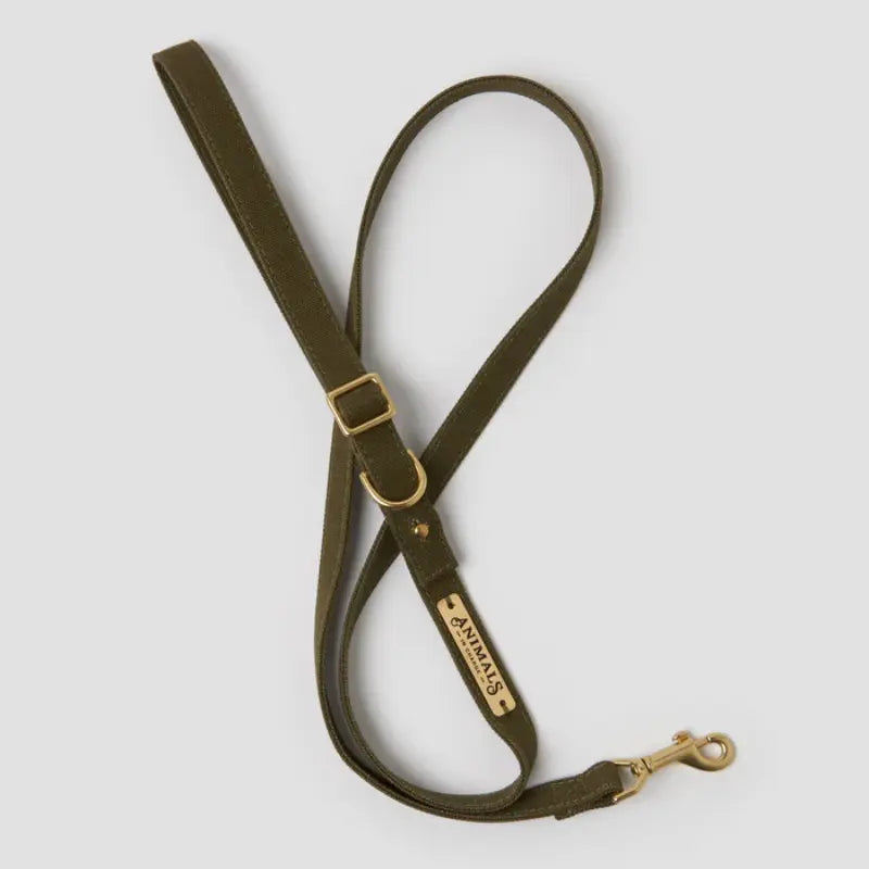 Animals in Charge Easy Tie Flat Dog Leash | Buy Online at DOGUE Australia