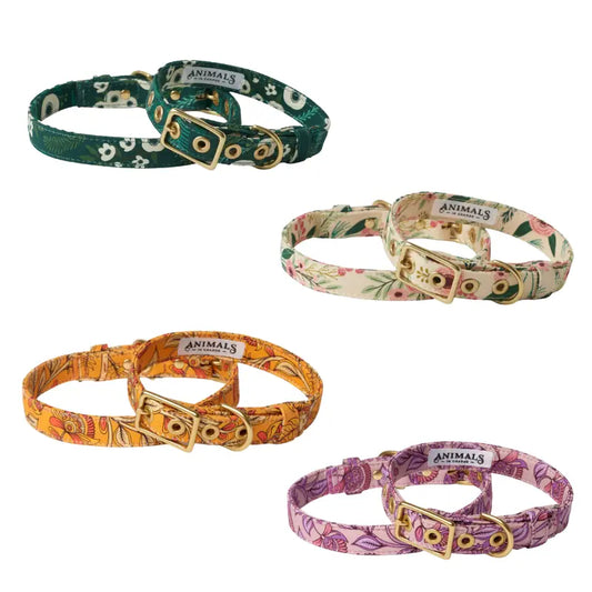Animals in Charge Café Dog Collars | Buy Online at DOGUE Australia