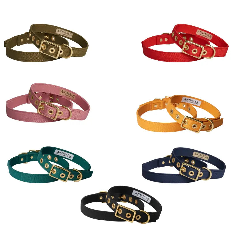 animals-in-charge-all-weather-recycled-cotton-dog-collar