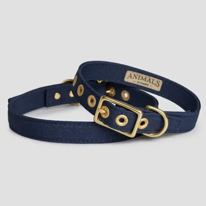 Animals in Charge All Weather Dog Collars | Buy Online at DOGUE Australia