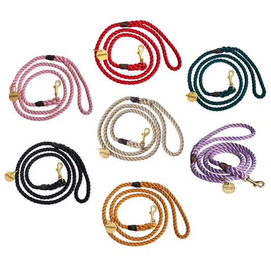 Animals in Charge Rope Dog Leash | Buy Online at DOGUE Australia