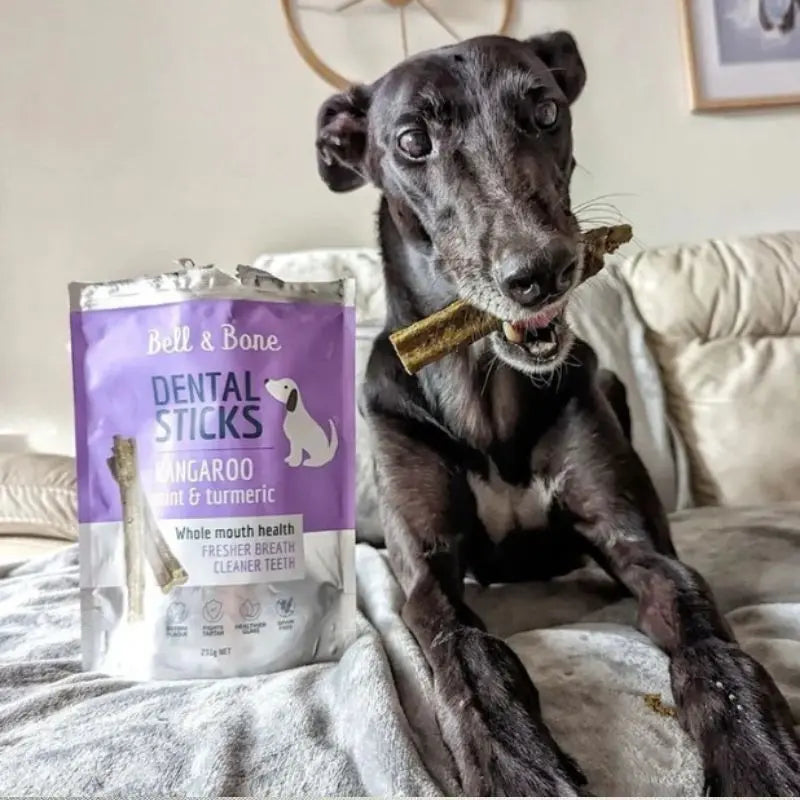Bell & Bone Dog Dental Sticks Roo, Mint & Turmeric - DOGUE