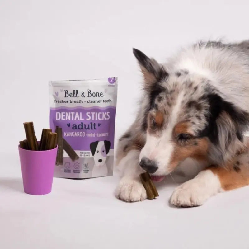 Bell & Bone Dog Dental Sticks Roo, Mint & Turmeric - DOGUE