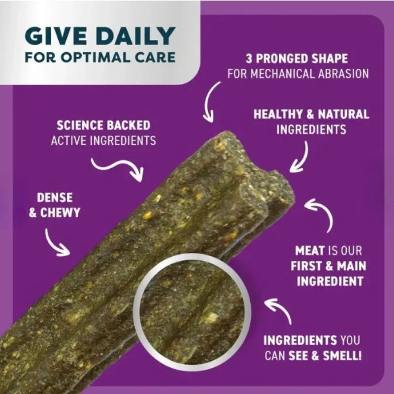 Bell & Bone Dog Dental Sticks Roo, Mint & Turmeric - DOGUE