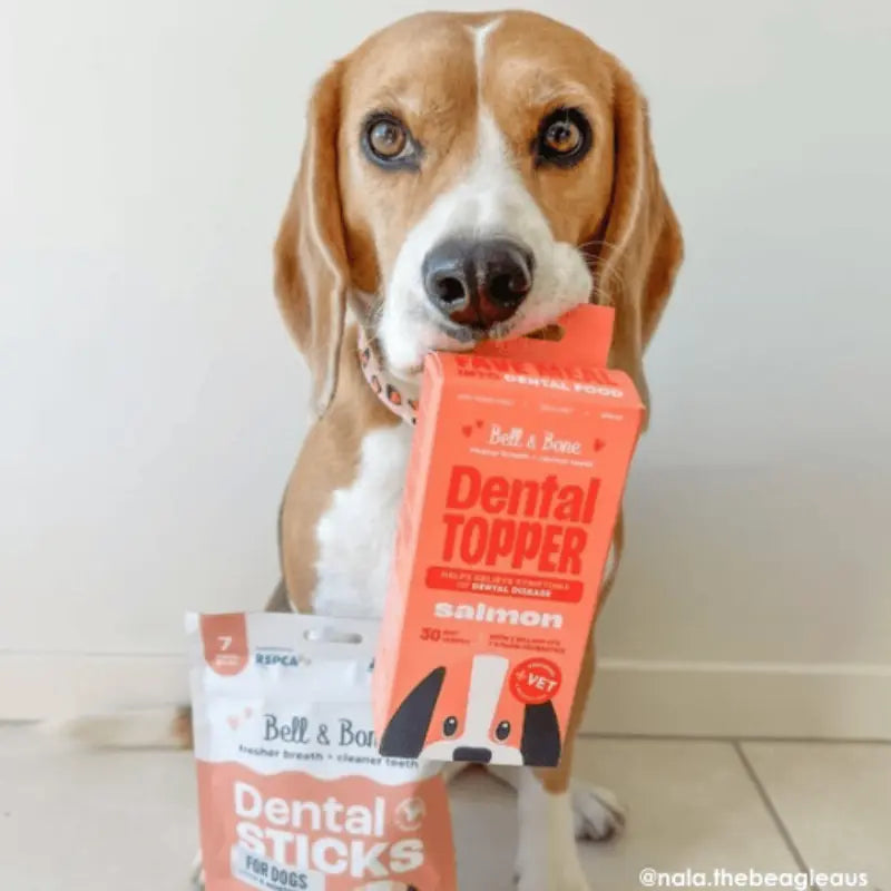 Bell & Bone Dog Dental Topper Salmon 30mL | Buy Online at DOGUE Australia