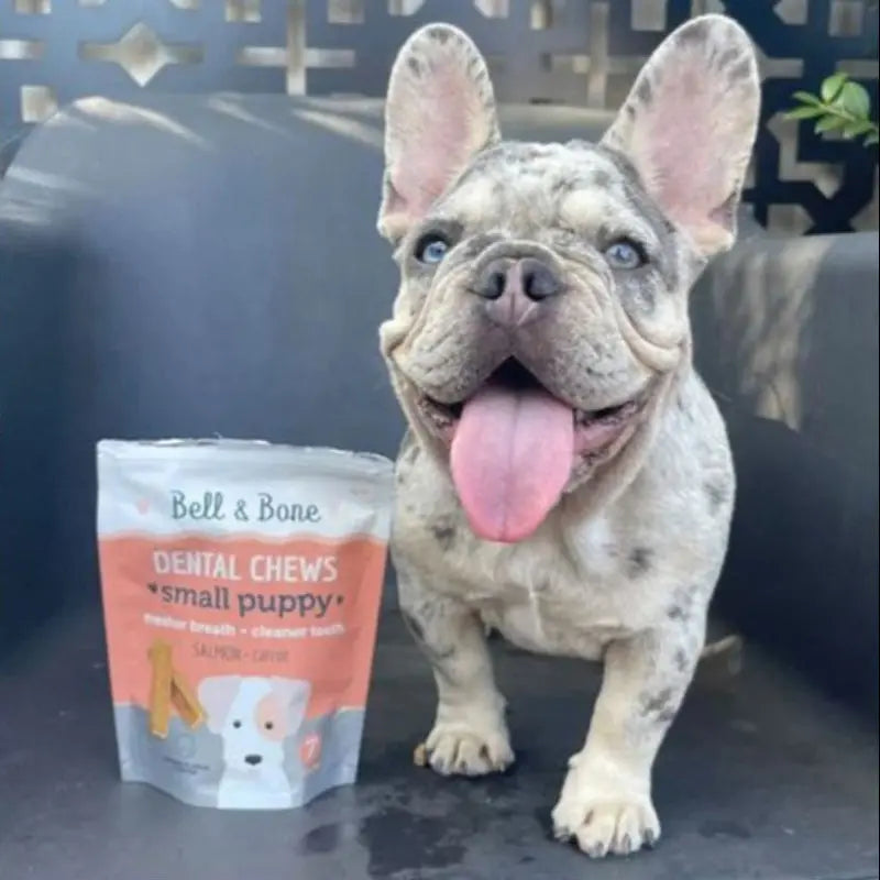 Bell & Bone Puppy Dental Chews Salmon & Carrot - DOGUE