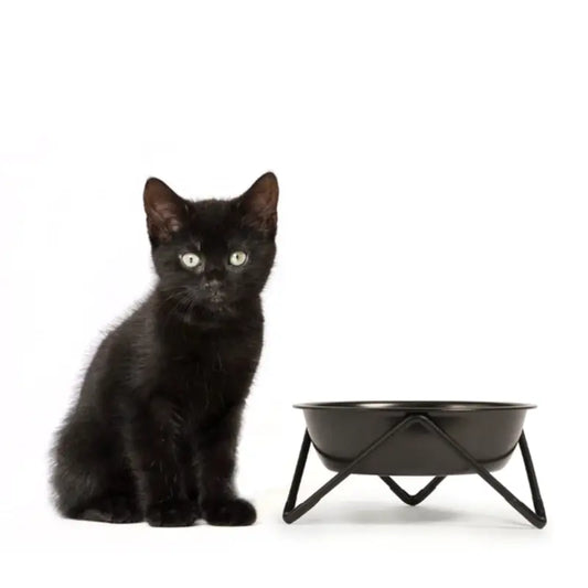 Bendo Meow Cat Bowl 