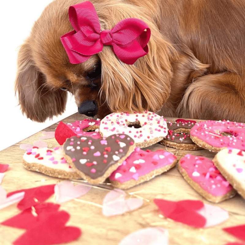 Bow Wow Bakery Valentines Day Dog Cookies Lifestyle