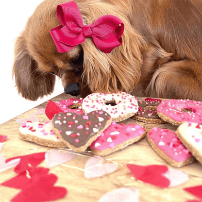 Bow Wow Bakery Valentines Day Dog Cookies Lifestyle