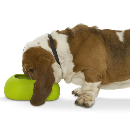 Buster IncrediBowl Long Earred Dog Bowl | Buy Online at DOGUE Australia