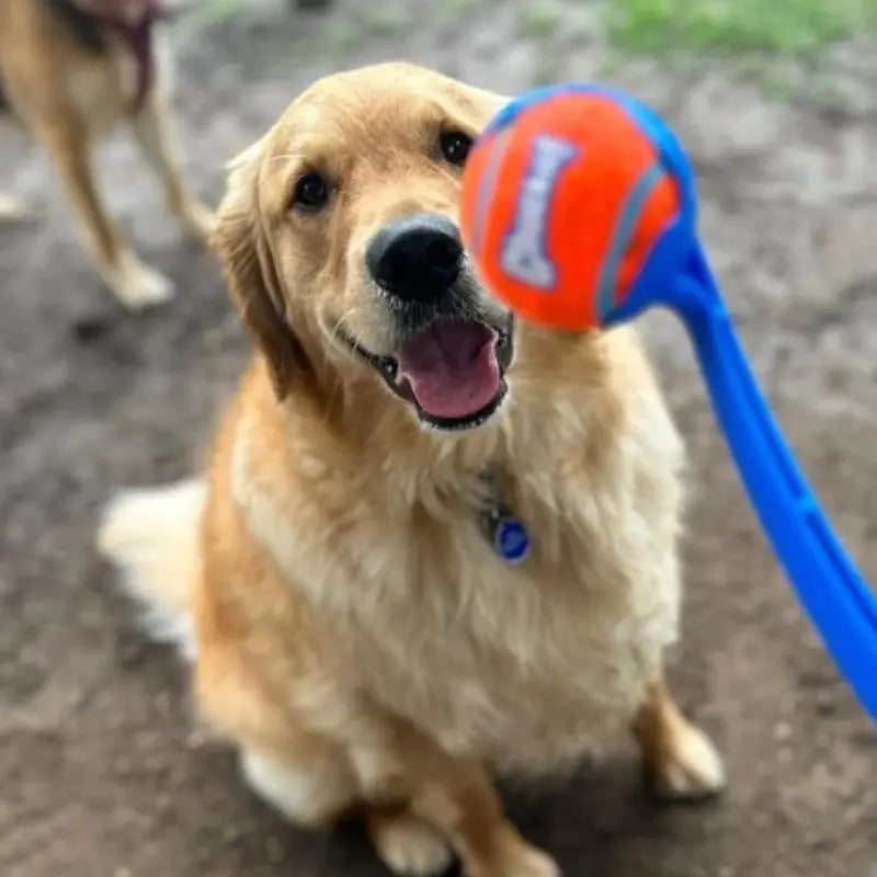 Chuckit! Classic Launcher Dog Toy - DOGUE