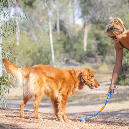 Chuckit! Fetch & Fold Launcher Dog Toy - DOGUE