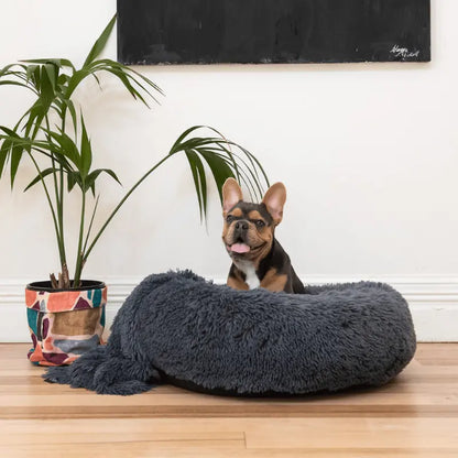 Curl Up Cloud Calming Dog Beds