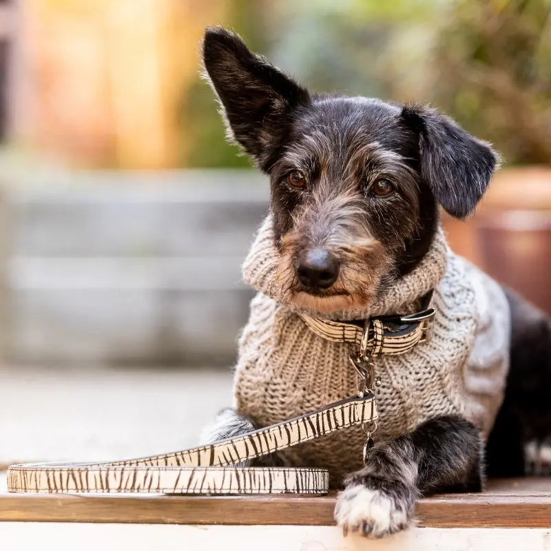 DOGUE Leather Animal Print Dog Collar - DOGUE